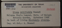 Image Associated With the Occurence